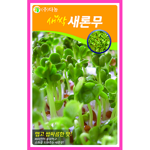 새싹새론무씨앗 1kg(새싹무순)/새싹채소씨앗