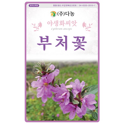 부처꽃 씨앗 -0.8g(약 3ml)/야생화꽃씨앗