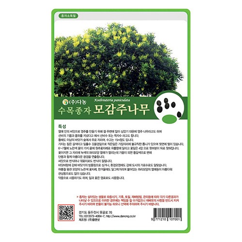 모감주나무씨앗 20g;600g;1kg-수목씨앗/조경