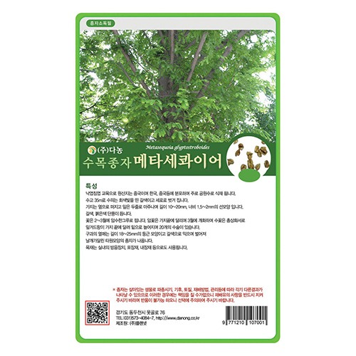 메타세콰이어 씨앗 5g;50g;200g;1kg-수목씨앗/조경