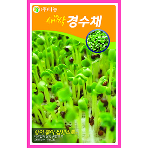 새싹경수채(교나)씨앗 30g(약50ml)