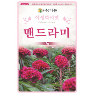 맨드라미씨앗 2g(약3ml)/야생화꽃씨앗