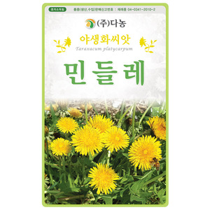 민들레씨앗 500립(약2ml)/야생화꽃씨앗
