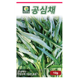 공심채씨앗-동남아시아 대표채소(필리핀 Kang kong) 10g/1kg