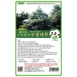 구상나무씨앗 15g;100g;300g;1kg-수목씨앗/조경