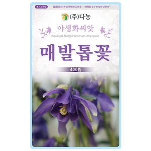 매발톱꽃씨앗 400립(약1ml)/야생화꽃씨앗