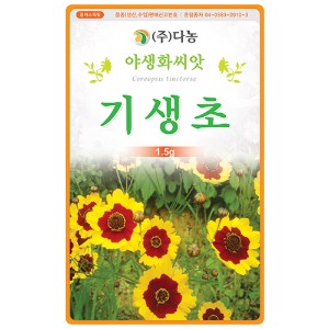 기생초씨앗 -1kg/야생화꽃씨앗