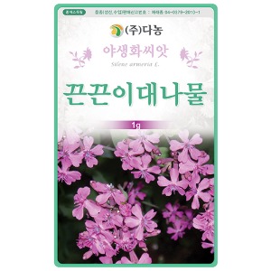 끈끈이대나물꽃씨앗 1g(약2ml)/야생화꽃씨앗