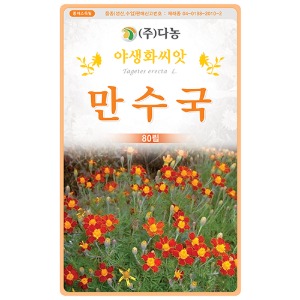 만수국씨앗- 80립(약3ml)/야생화꽃씨앗
