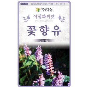 꽃향유씨앗- 2000립(약3ml)/야생화꽃씨앗
