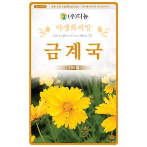금계국씨앗 - 1kg/야생화꽃씨앗
