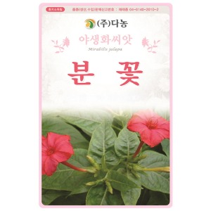 분꽃씨앗- 5g(약10ml)/야생화꽃씨앗