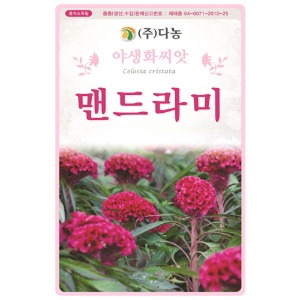 맨드라미씨앗 2g(약3ml)/야생화꽃씨앗