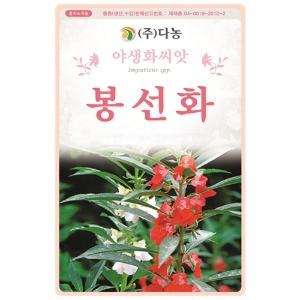 봉선화씨앗-1kg/야생화꽃씨앗