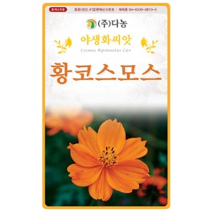 황코스모스꽃씨앗 - 1g(약3ml)/야생화꽃씨앗