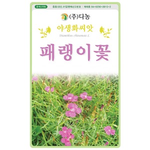 패랭이꽃씨앗 400립(약2ml)/야생화꽃씨앗