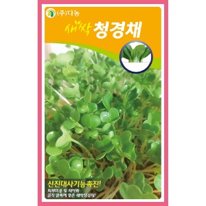 새싹청경채씨앗 1kg/새싹채소씨앗