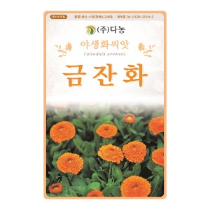 금잔화씨앗-1kg/야생화꽃씨앗
