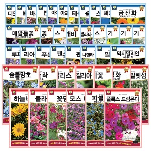 다농 24년 신규 꽃 추가 고급화훼 야생화 씨앗 모음