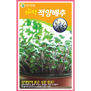새싹적양배추씨앗 30g(약50ml)/새싹채소씨앗
