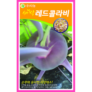 새싹레드콜라비 씨앗 1kgl/새싹채소씨앗
