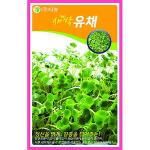 새싹유채씨앗 30g(약50ml)/새싹채소씨앗