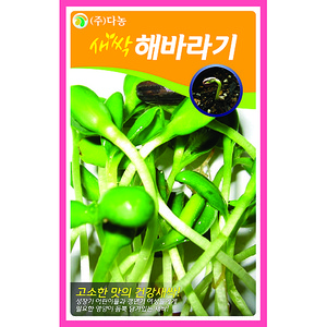 새싹해바라기 씨앗 1kg/새싹채소씨앗