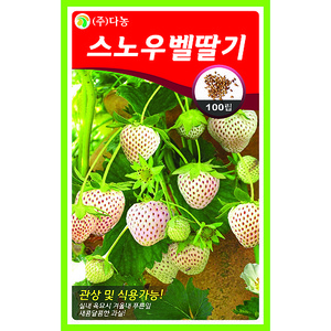 스노우벨딸기씨앗(흰색딸기) 100립-집/텃밭에서 직접파종해서 키우는 식용관상용 고급 하얀딸기