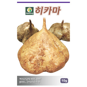 히카마(얌빈)씨앗-멕시코감자 씨앗 10g/500g/1kg
