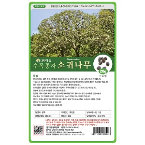 소귀나무씨앗20g;500g;1kg-수목씨앗/조경