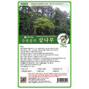 삼나무씨앗20g;200g;1kg-수목씨앗/조경