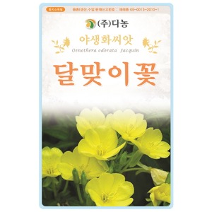 달맞이꽃씨앗 1kg/야생화꽃씨앗