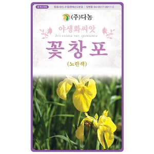 꽃창포 씨앗- 1kg/야생화꽃씨앗