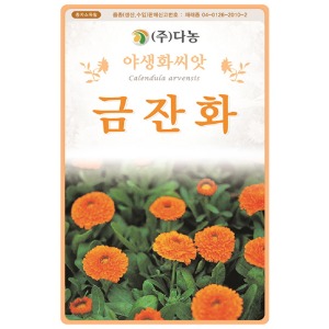 금잔화씨앗-50립(약3ml)/야생화꽃씨앗