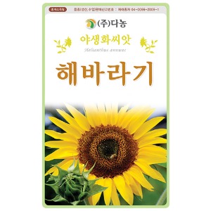 해바라기씨앗 - 1kg/야생화꽃씨앗