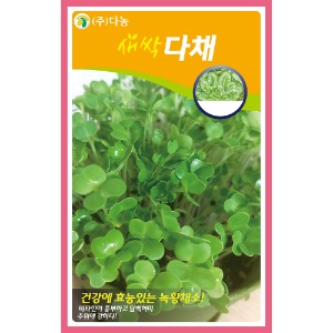 새싹다채(비타민채)씨앗 30g(약50ml)/새싹채소씨앗