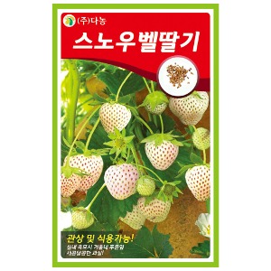 스노우벨딸기씨앗(흰색딸기) 100립-집/텃밭에서 직접파종해서 키우는 식용관상용 고급 하얀딸기