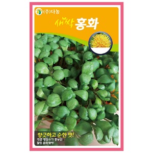 새싹홍화씨앗 1kg/새싹채소씨앗