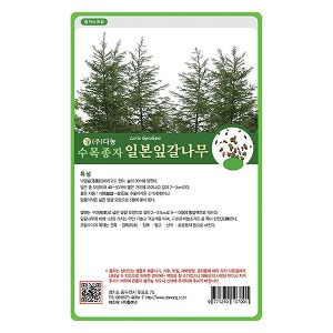 일본잎갈나무씨앗5g;100g;1kg-수목씨앗/조경