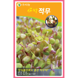 새싹적무 씨앗 30g(약 50ml)/새싹채소씨앗